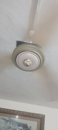 chalte huwe fan for sale 3500