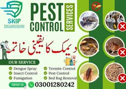 Termite Control - Fumigtion Services | Pest Control Services | Dengue