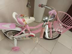 pink cycle