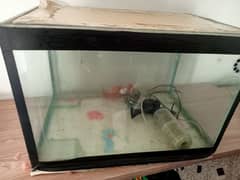 fish aquarium with all accessories.