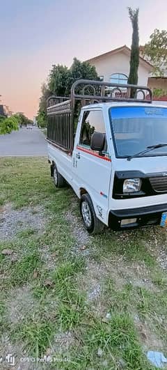 Suzuki 2019