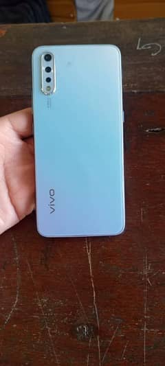vivo