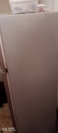 sharp fridge