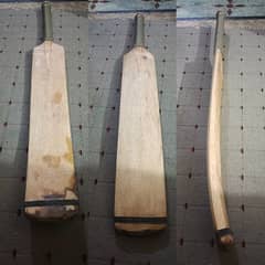 coconut sirilankan shape bat