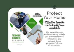 termite control services