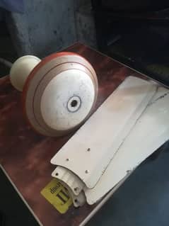 new condition