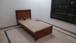 Single Bed / Mattres / Sofa