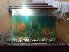 2 fit aquarium with stone oxygen pamp plant
