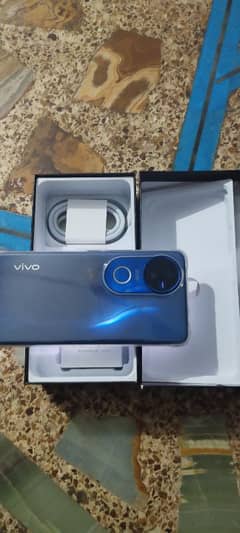 vivo