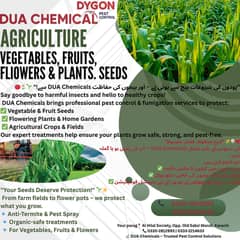 Vegetable seeds in Karachi  Fruit seeds for planting  Flower seeds in