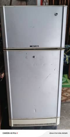 Pel Aspire Medium Size