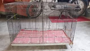 cage all ok hai