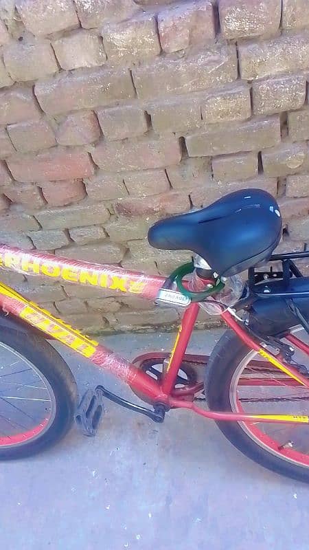 phoenix cycle 1 month use price 20000 condition all good 7