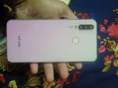 vivo