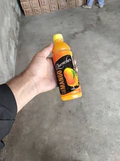 quencher mango juice best quality 03193205160