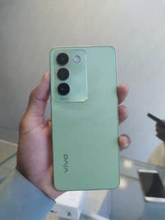 shaikh