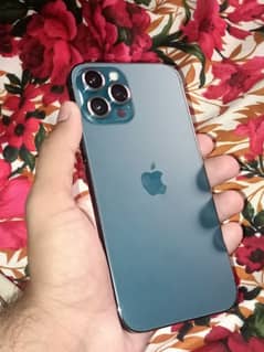 Assalamualaikum selling my iphone 12 pro max