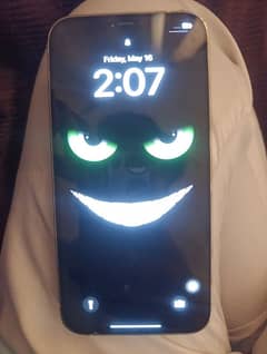 i phone 12 pro max