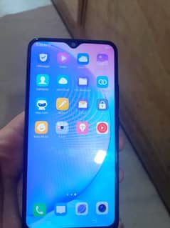 vivo