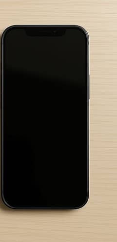 iPhone 13 – 128 GB – Black – 100% Battery – 7 Months Warranty