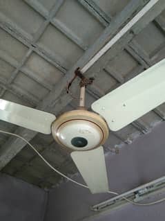 Ceiling