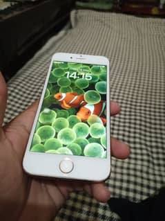 iPhone non pta
