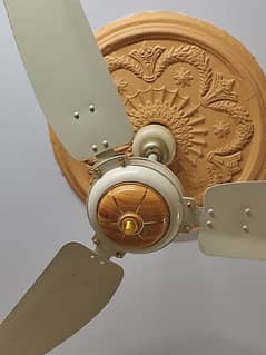 2 fancy fans for sell