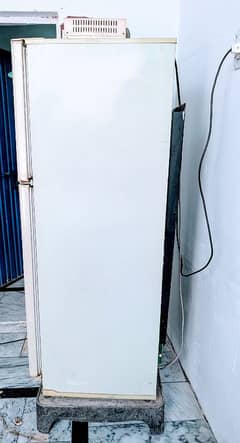 PEL