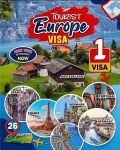 Tourist Visa ,business visa,work visa,study visa