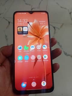 vivo