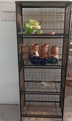 iron cage