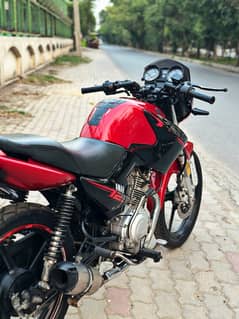 YAMAHA YBR 125 COCKTAIL RED