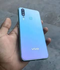 Vivo
