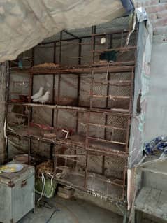 iron cage 8 portion