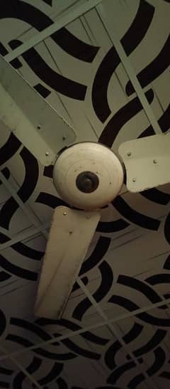 Selling My Pak Fan