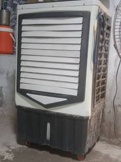 usedi