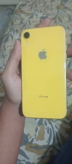 IPHONE XR