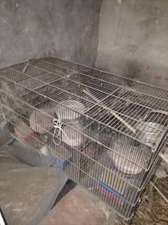 cage