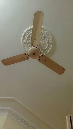 ceiling