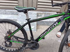 Like new mountain bicycle for sale _Great Deal !