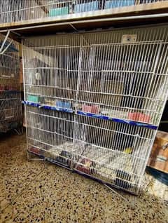 boxes and bird cages