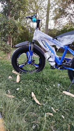 imported cycle