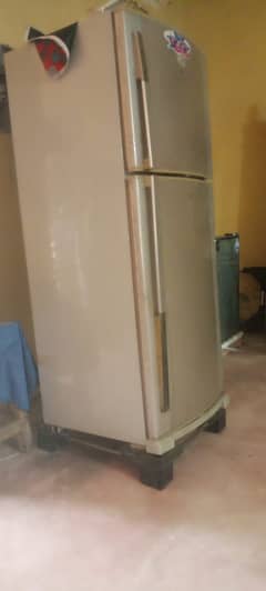 Dwalance refrigerator full size