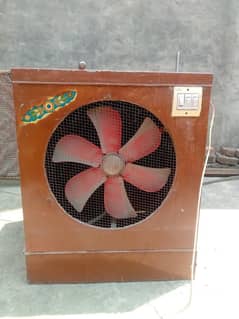 Lahore Coller