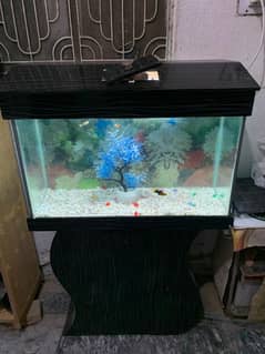 3ft aquarium with everything
