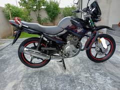Yamaha YBR 125G Model 2023 | Yamaha In Bikes | Total Geniune
