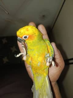 سن