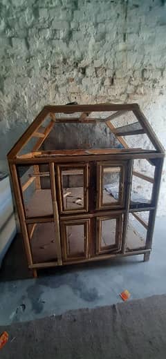 Parrot hens separate cage