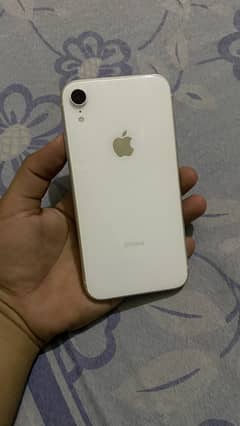 I phone XR DUALITY PTA 03134678340