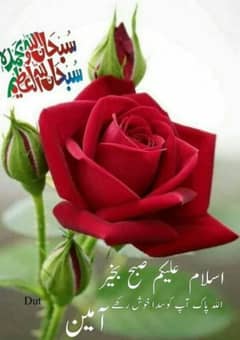 job ke bohot zarorat ha
